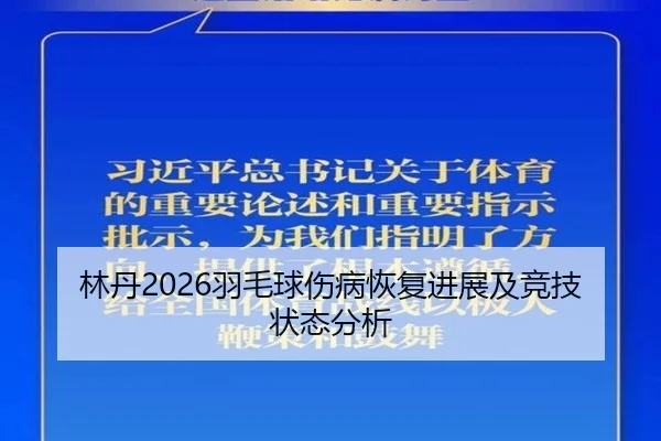 林丹2026羽毛球伤病恢复进展及竞技状态分析